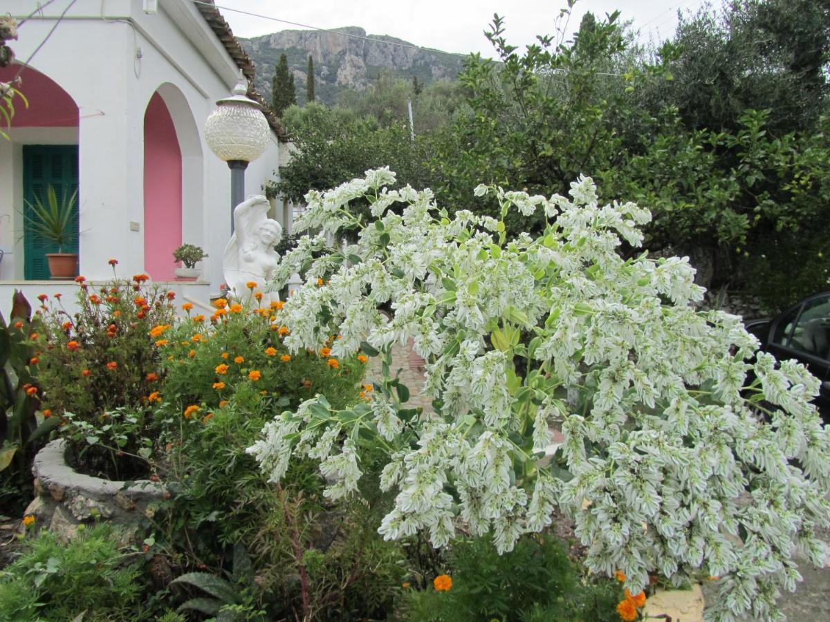 Vanilla House Paleokastritsa Exterior foto